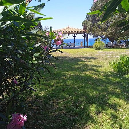 Genari Beach Apartments Levendokhorion Экстерьер фото